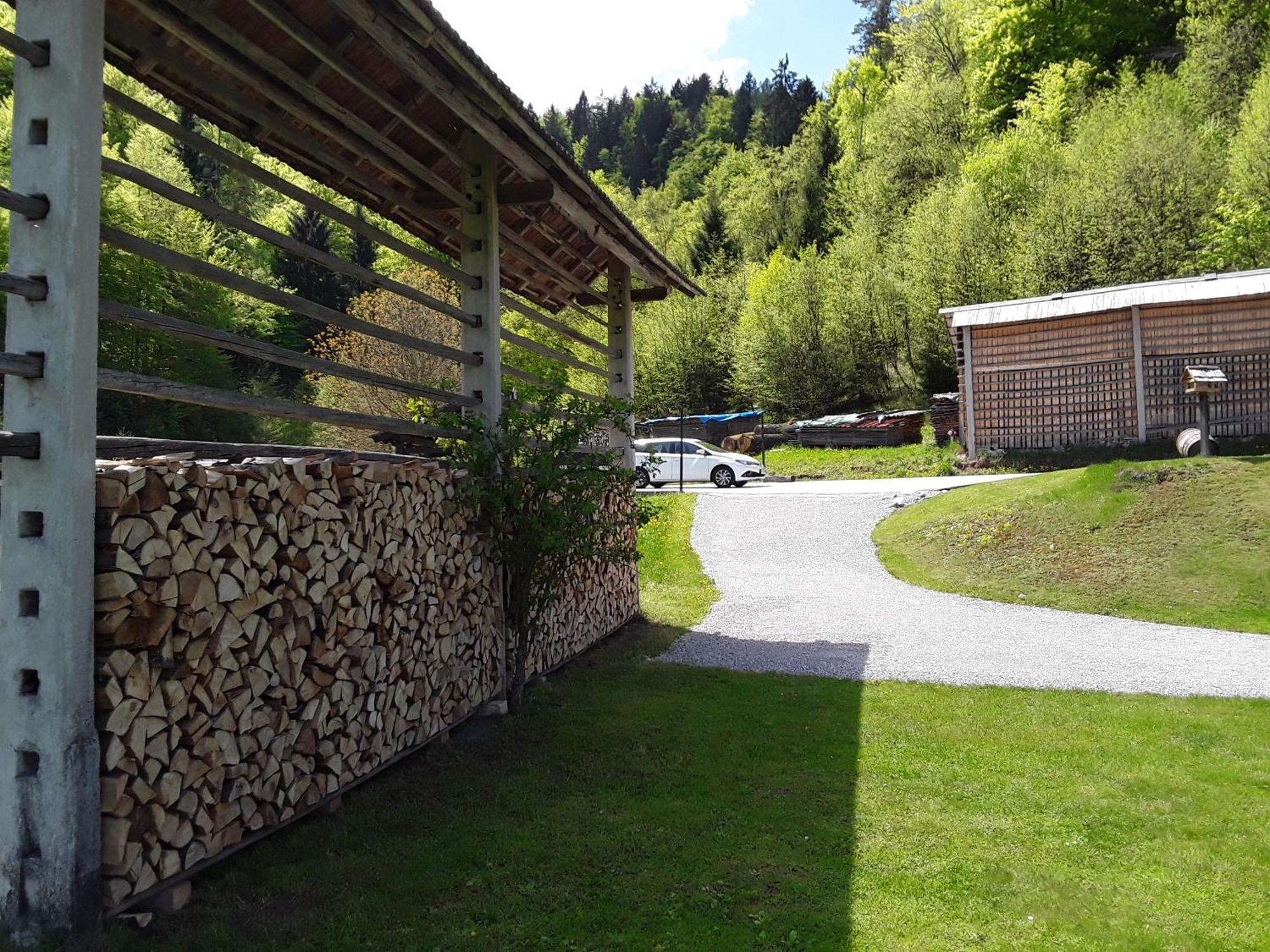 Apartment Natur Bled Exteriér fotografie